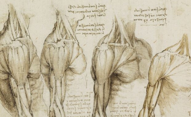 musculos yoga